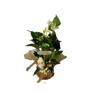 Cserepes anthurium arany kaspóban karácsonyi díszítéssel világítással
