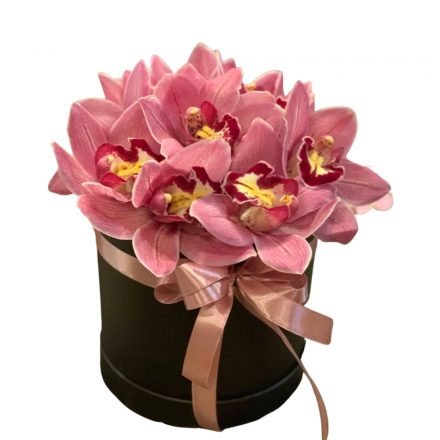 Cimbidium orchideás box